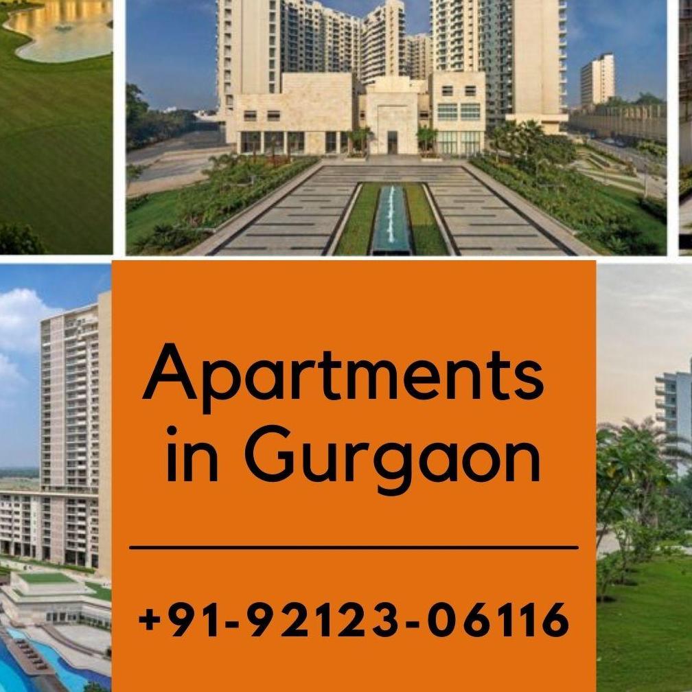 Property   In Gurgaon
