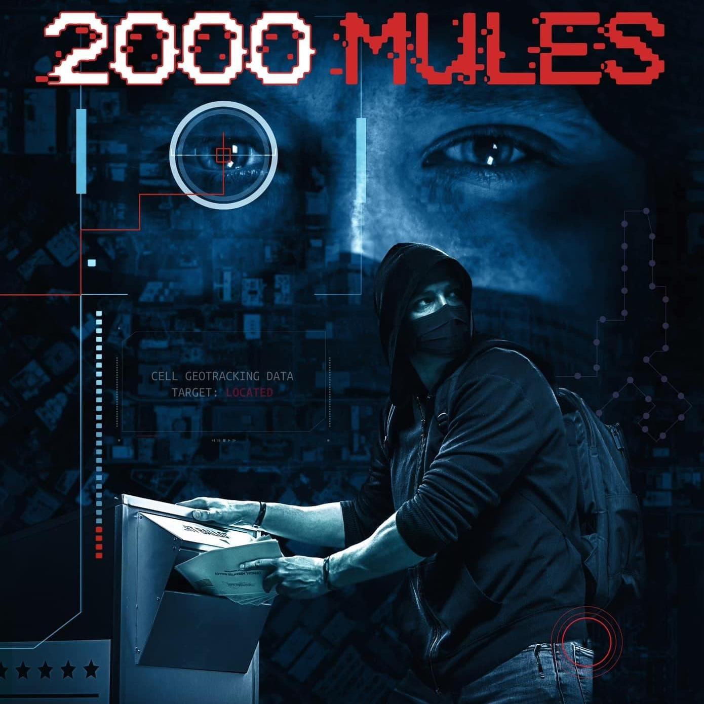 Watch Full 2000 Mules 2022 HD Bluray