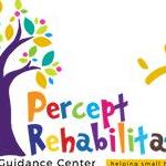 Percept Rehabilitation